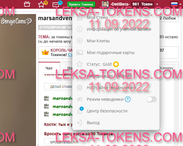 Аккаунт бонгакамс