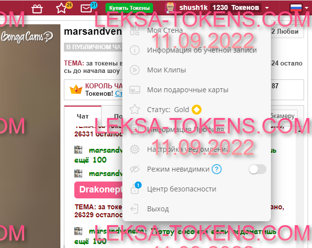 Аккаунты BongaCams